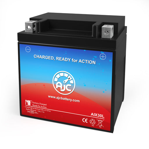 Arctic Cat Prowler XTX 700 700CC UTV Replacement Battery (2010-2014)