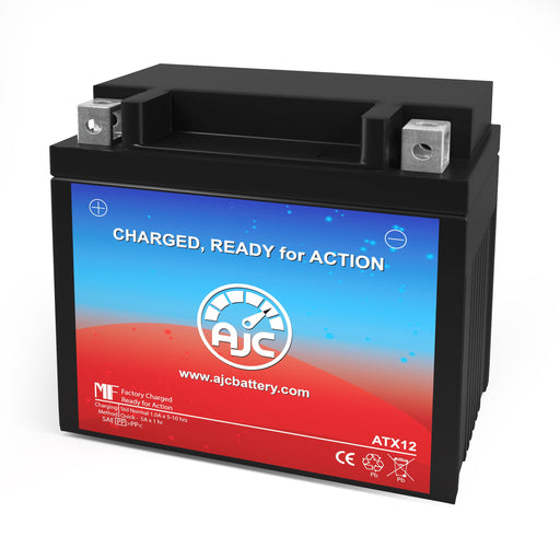 Arctic Cat 250 2x4 246CC ATV Replacement Battery (2004-2009)