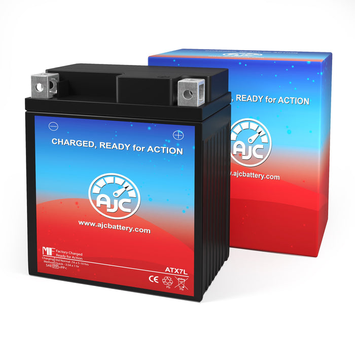 Baja Motorsports X250 Dirt Bike 250CC Motorcycle Replacement Battery (2008)