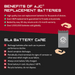 Dynamark 5184 U1 Lawn Mower and Tractor Replacement Battery-3